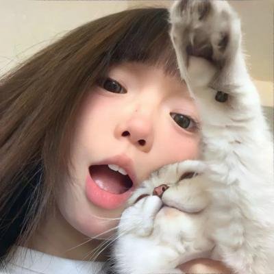 汪星人的奇思妙想