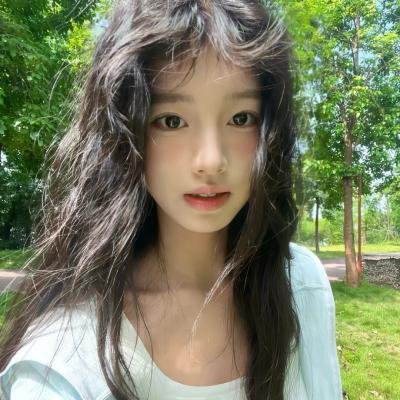 大盗贺钦布龙兹